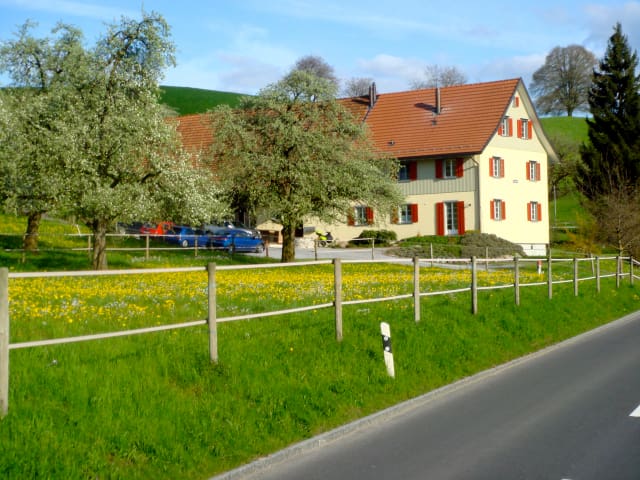 Country House Studio