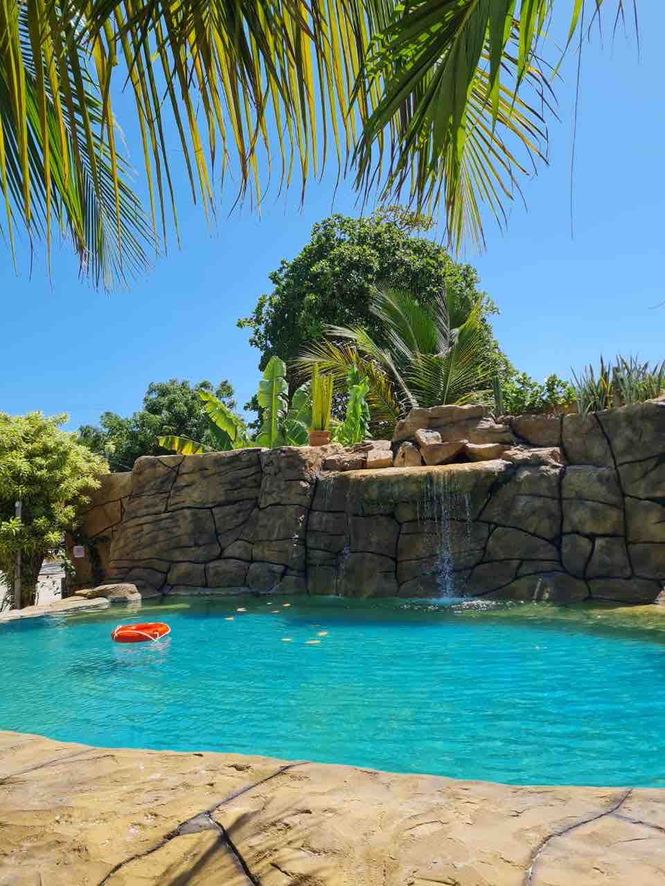 A clear blue pool is surrounded by a natural rock waterfall, offering a serene retreat. Tropical plants and tall trees provide shade along the pool's edge, while a brightly colored float rests gently on the water's surface under a sunny sky.