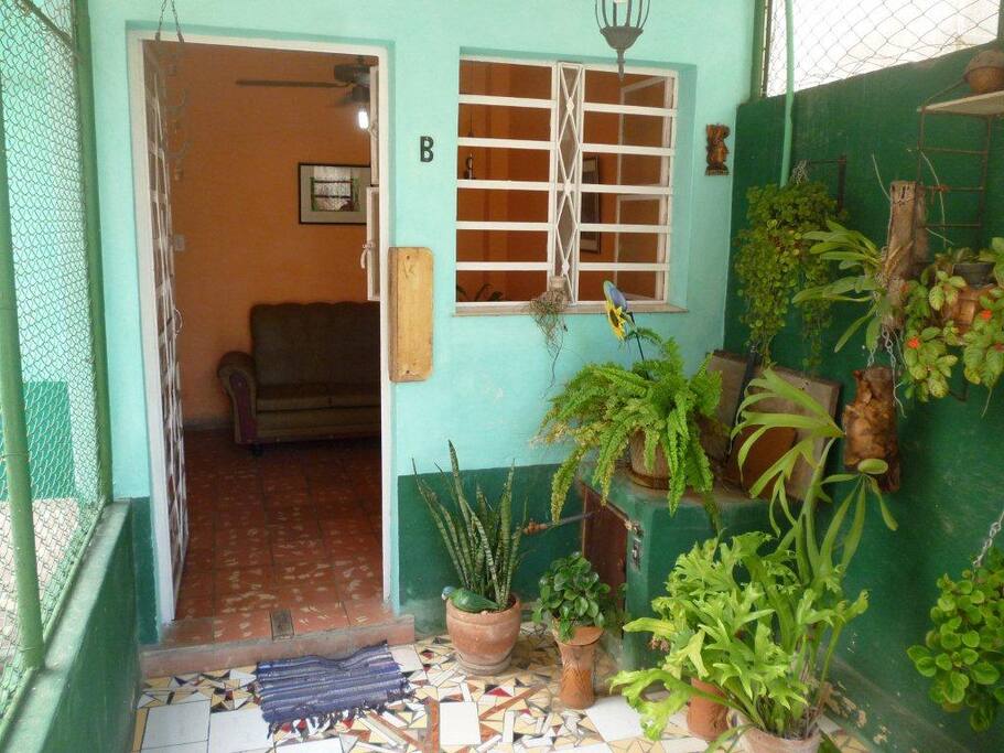 En la pequeña terraza podrás tomar el sol, leer o conversar, rodeada de platicéridos, helechos y otras plantas.