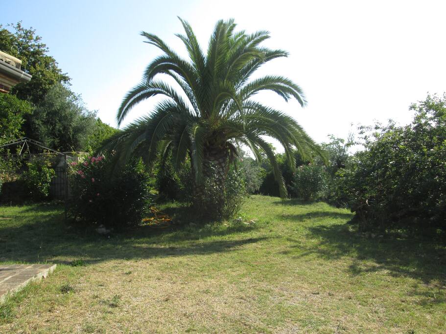 Il giardino