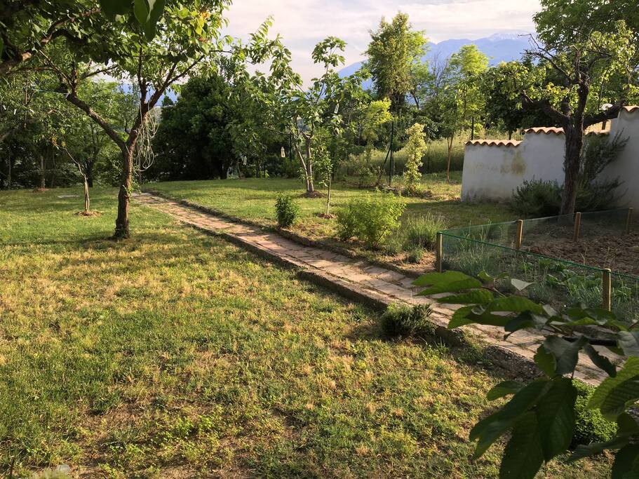 Giardino