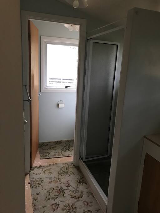 Toilet and shower