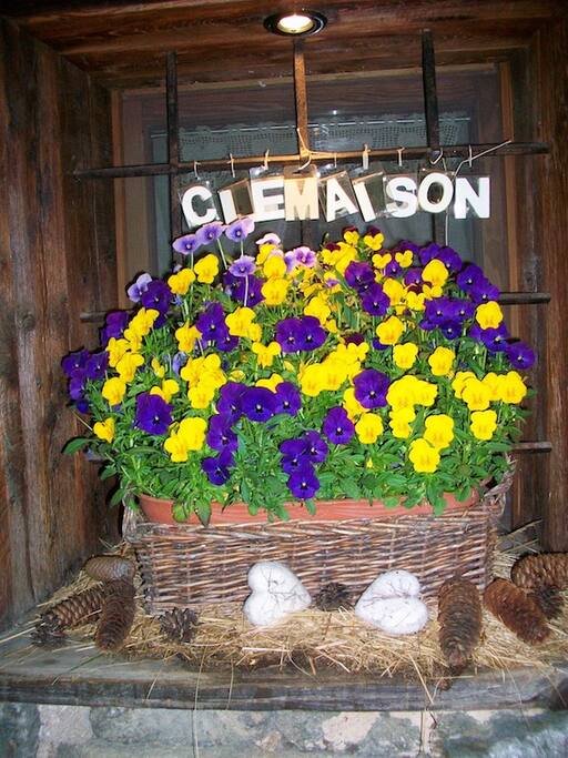 Le viole di Clem!