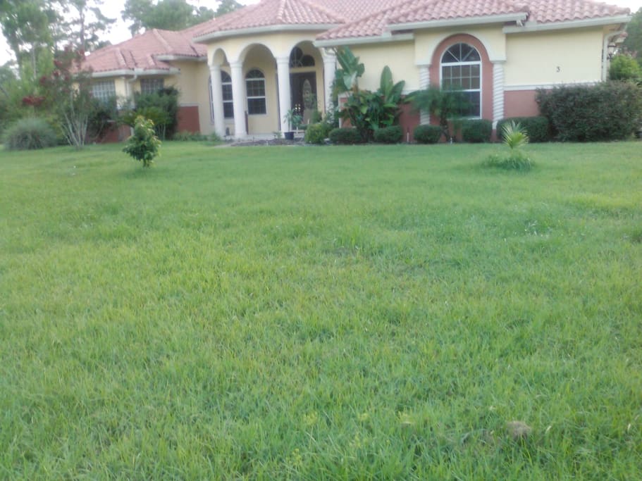 House and front yard