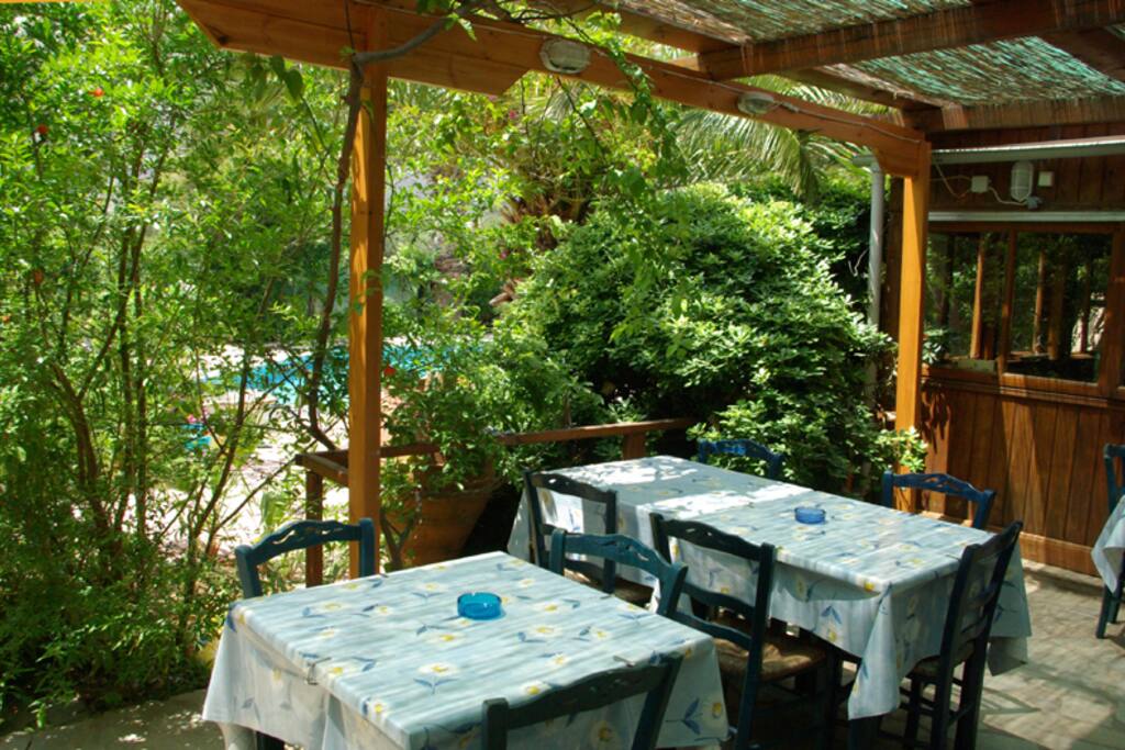 Terrace next to the pool