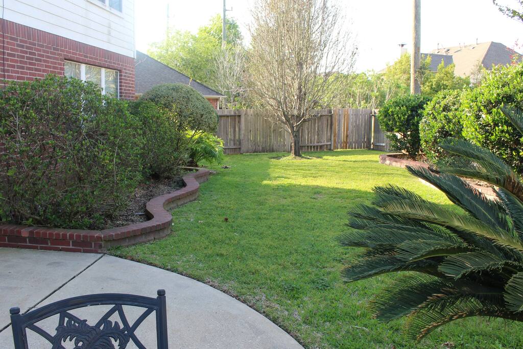 Relaxing Backyard
