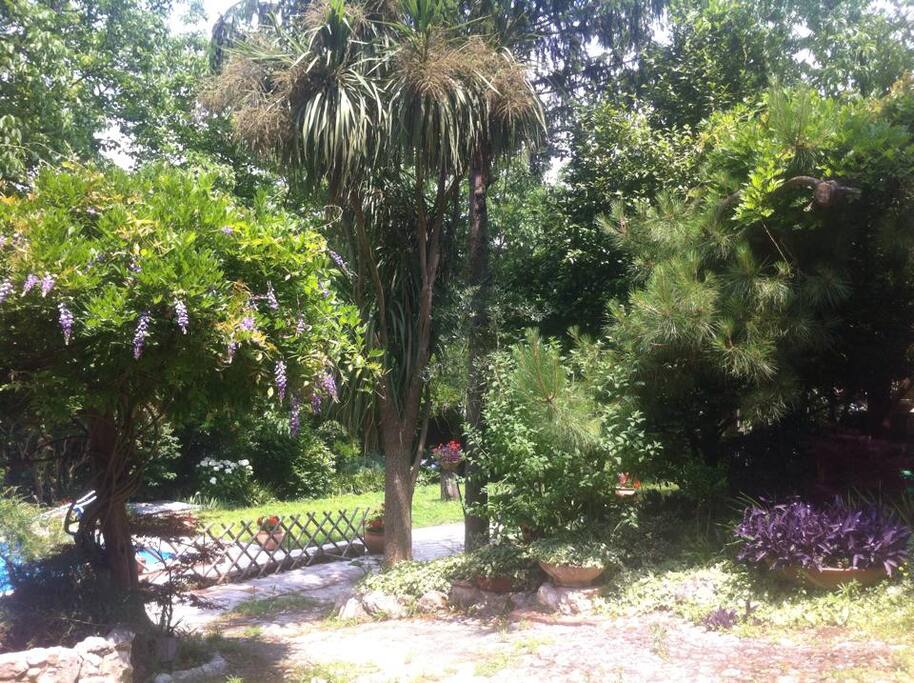 parte di giardino