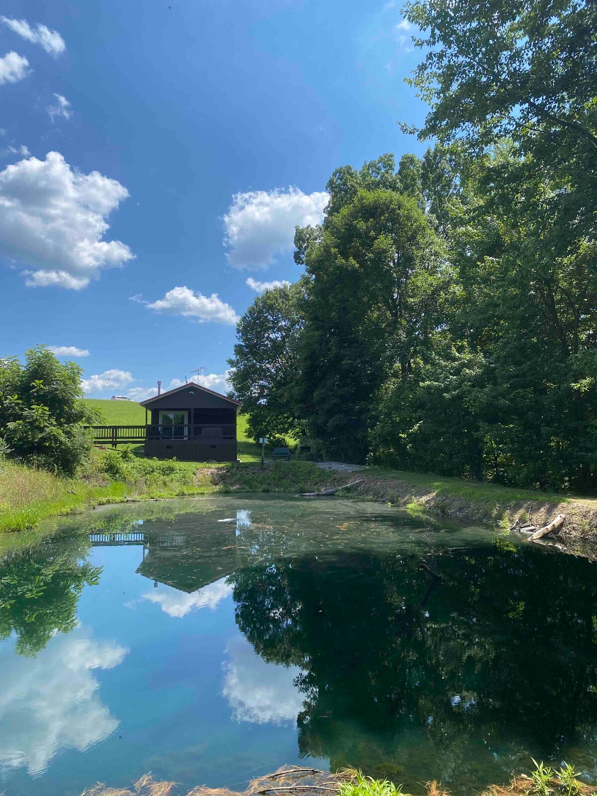 A serene private pond reflects the cabin and surrounding greenery under a blue sky dotted with fluffy white clouds. The water's surface creates a mirror-like effect, enhancing the tranquil setting of the secluded property.