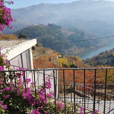Quinta Barqueiros D`Ouro - Casa do Douro