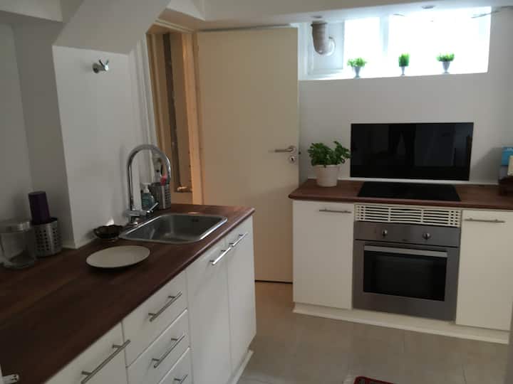 Basement Bedroom With Private Kitchen And Shower. - Copenhague