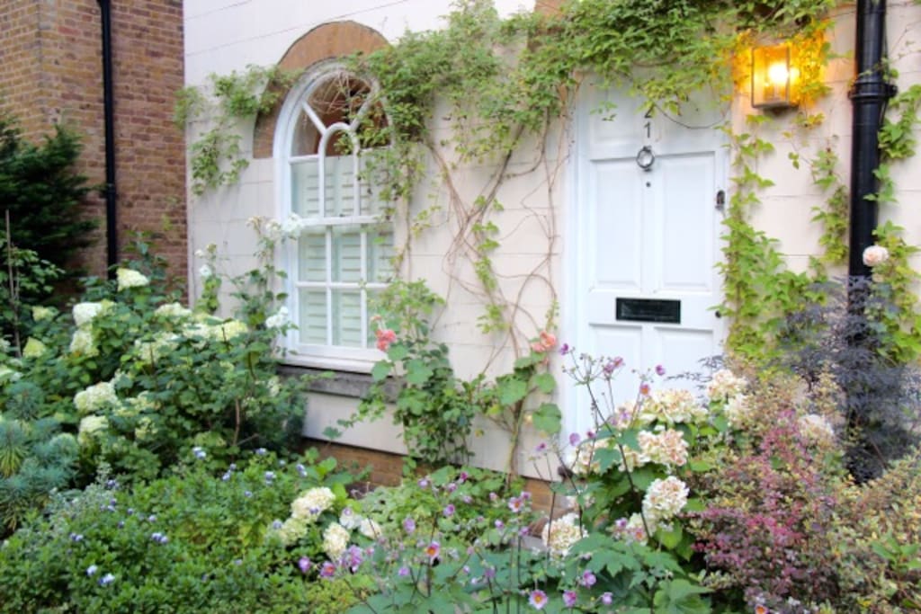 Summer garden