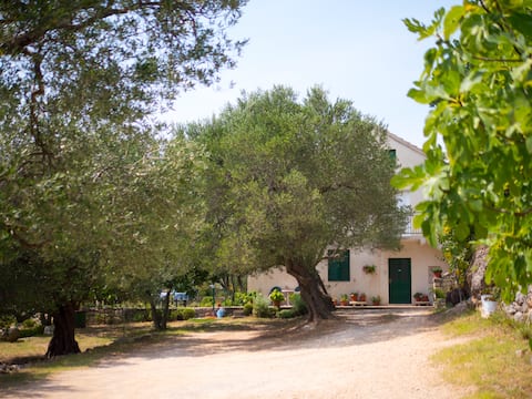 Top performing Airbnb: Spacious Apartment In An Olive Grove Estate in Općina Jasenice