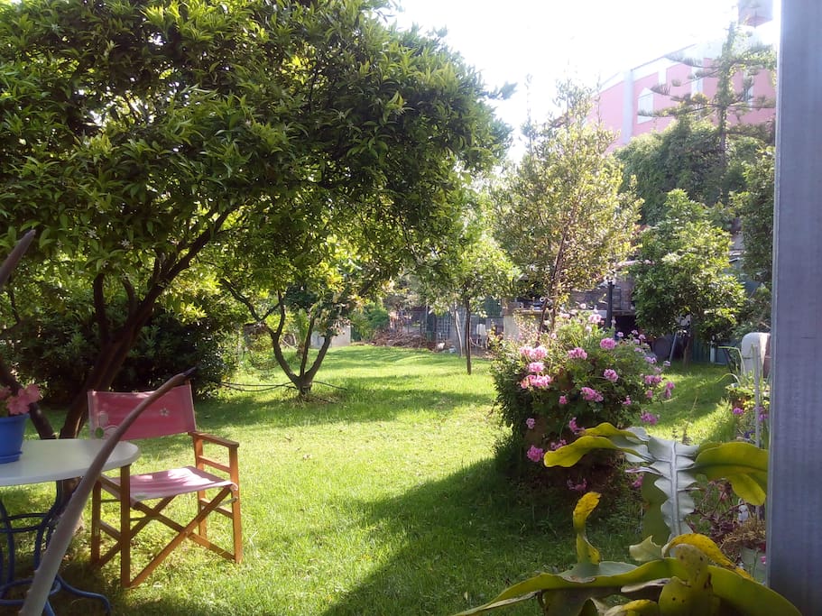 It offers access to a beautiful and peaceful garden ideal for relaxing, reading or just sunbathing