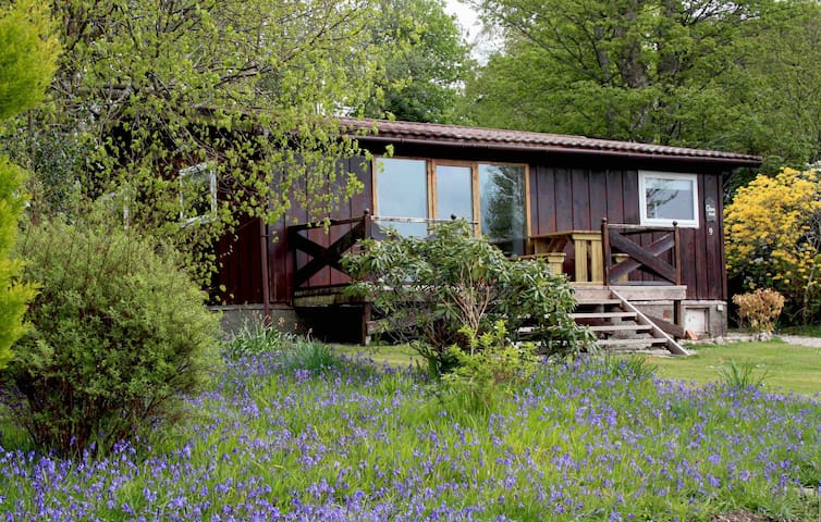 Clamshell Lodge