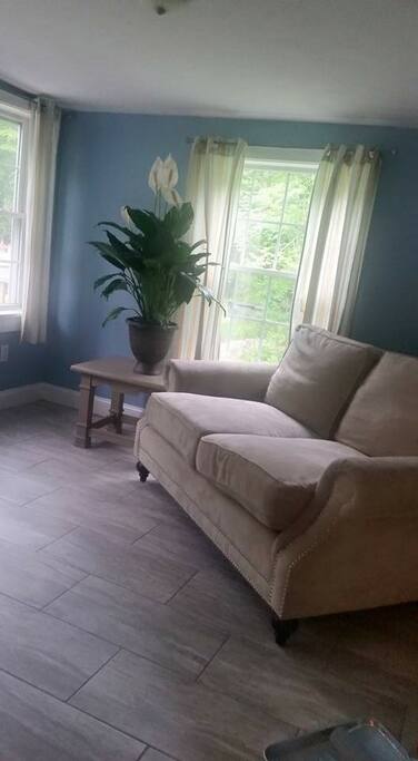 Sun room with a pullout full size couch