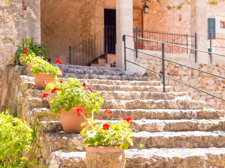 Agrotourism Fangar - Ses Dones