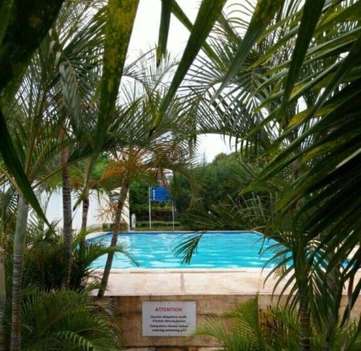 Private Pool in backyard