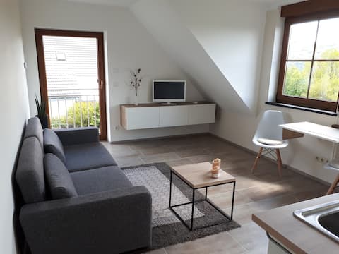 Successful Airbnb property: Modern 2-room apartment on the beautiful Moselle in Zell (Mosel)