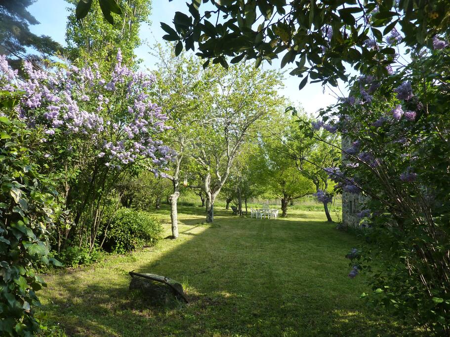 jardin