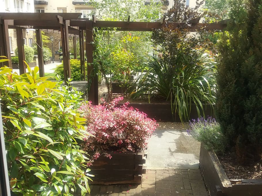 This is the courtyard outside