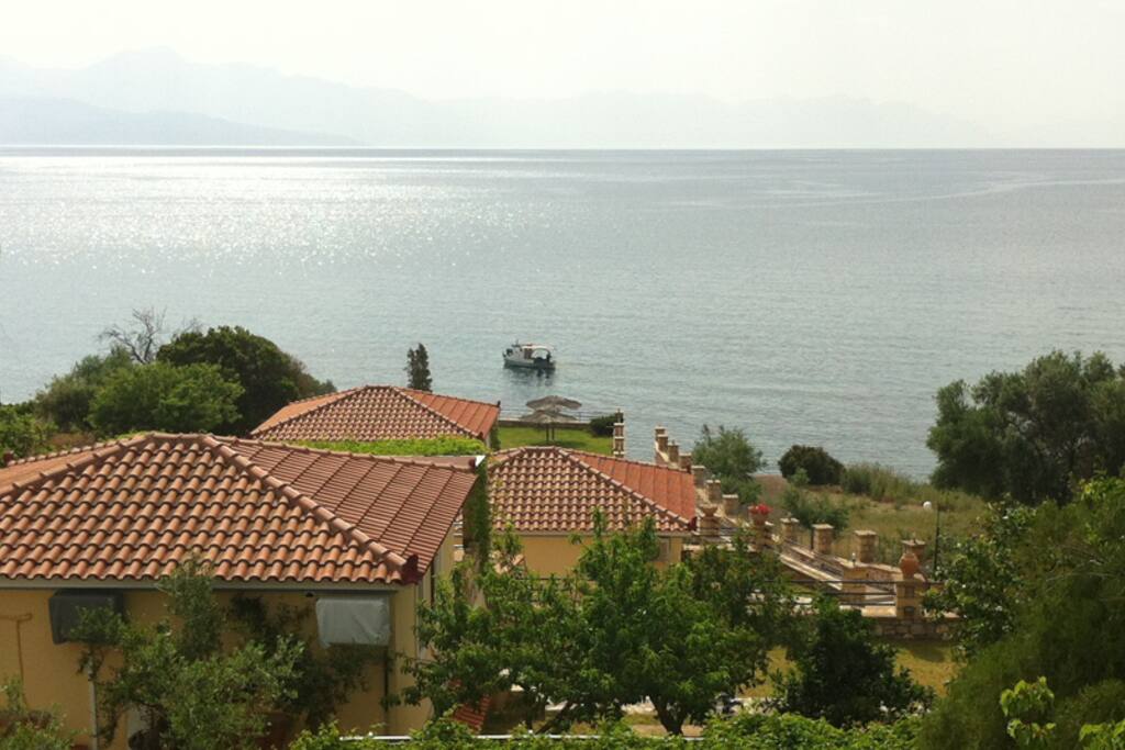 Θεα απο τα Bungalow