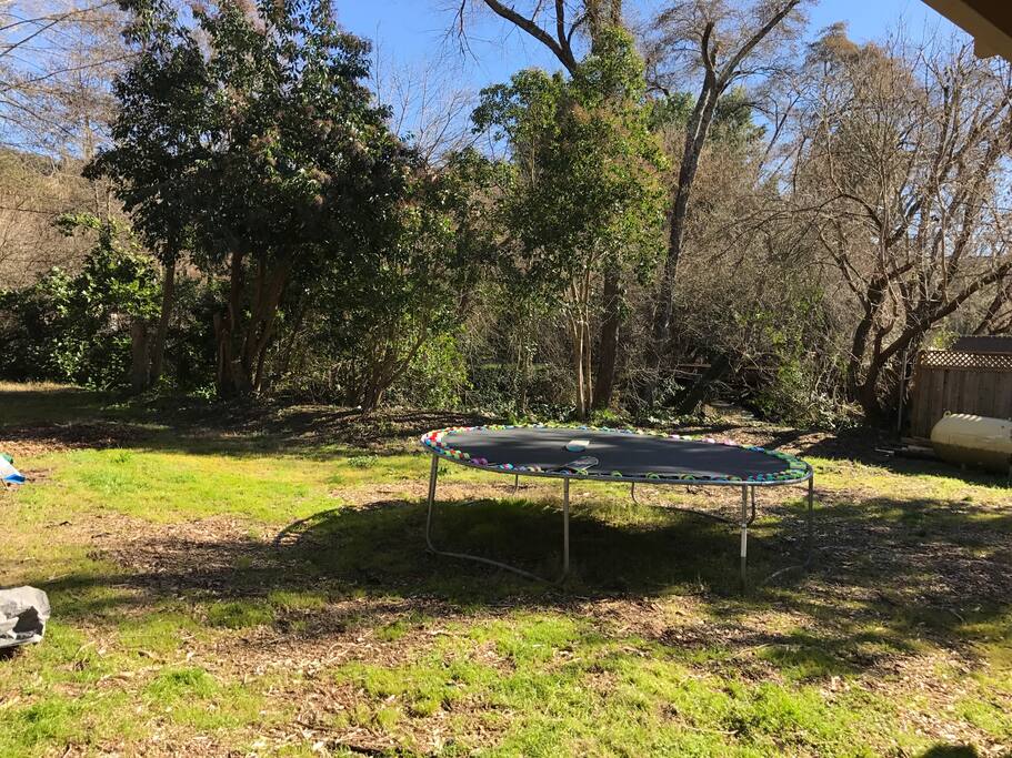 Back yard, river, trampoline