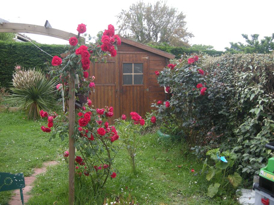 jardin