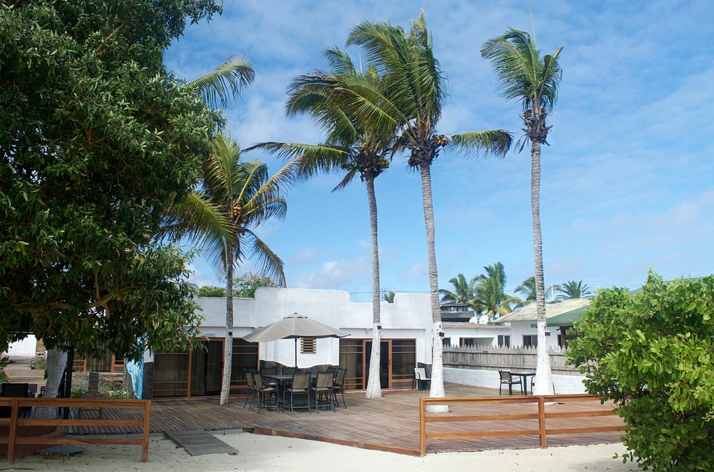 A spacious outdoor deck is surrounded by tall palm trees, offering a relaxing atmosphere. Patio furniture, including tables and chairs, is arranged for dining or lounging. The white building in the background blends harmoniously with the natural elements, complemented by a clear blue sky.