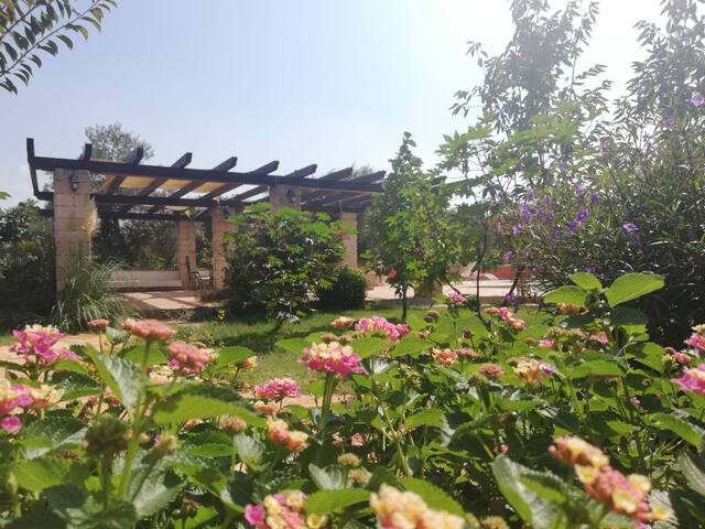 Characteristic trullo close to Ostuni and Beaches gallery image 2