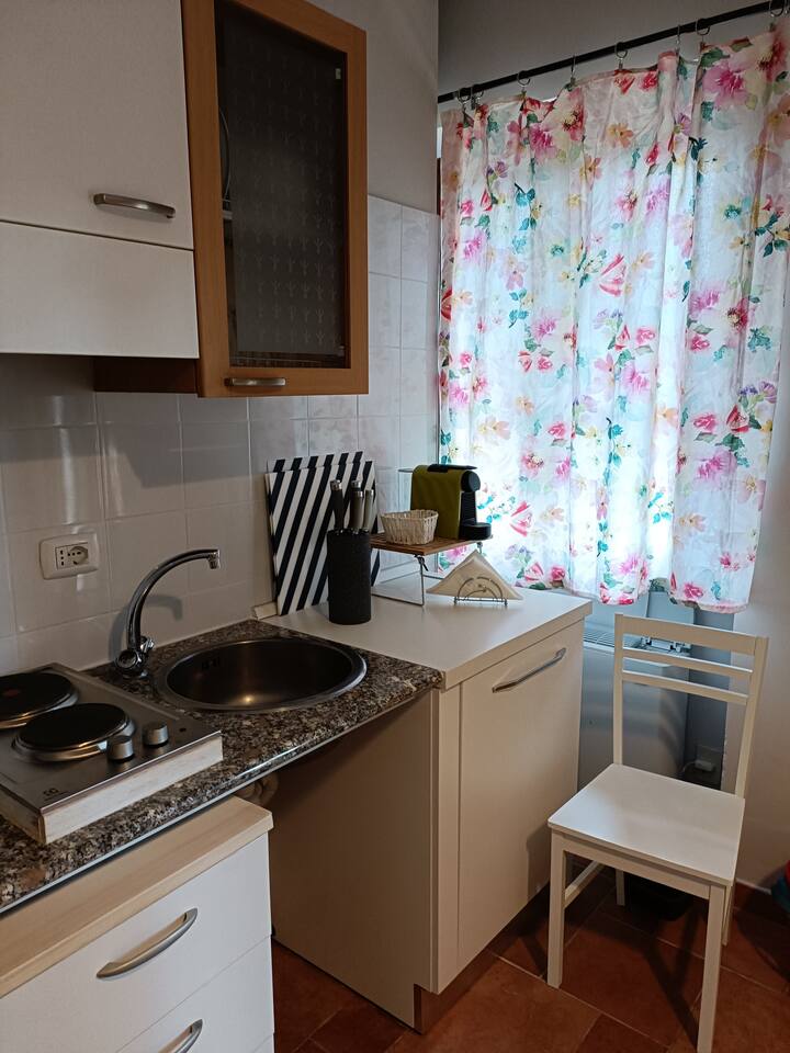 Cipressi Toscani "Macchie Basse 
Guest House" - Capalbio