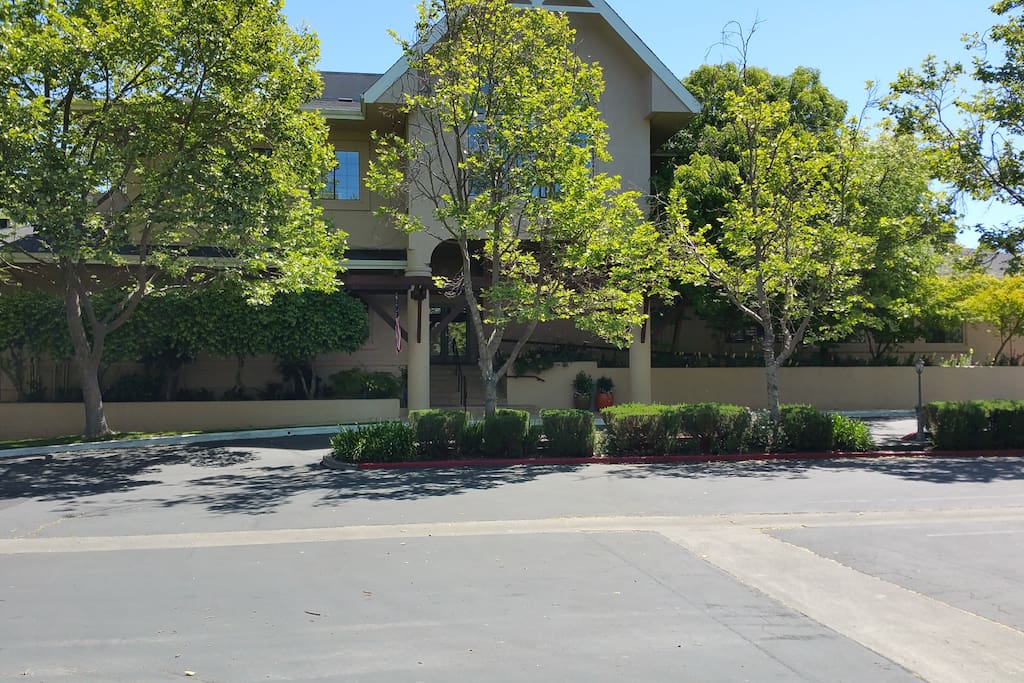 Outside View