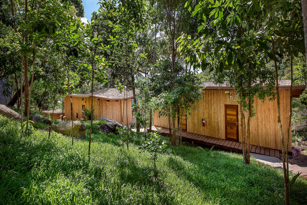 Two bamboo and exotic wood bungalows are nestled among lush greenery, surrounded by trees and grass. A wooden pathway connects the structures, which feature natural finishes and earthy tones, blending harmoniously with the tranquil forest surroundings.