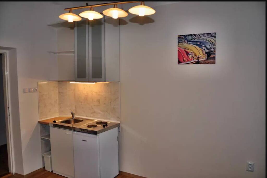 Kitchenette includes cooking basics and a fridge
