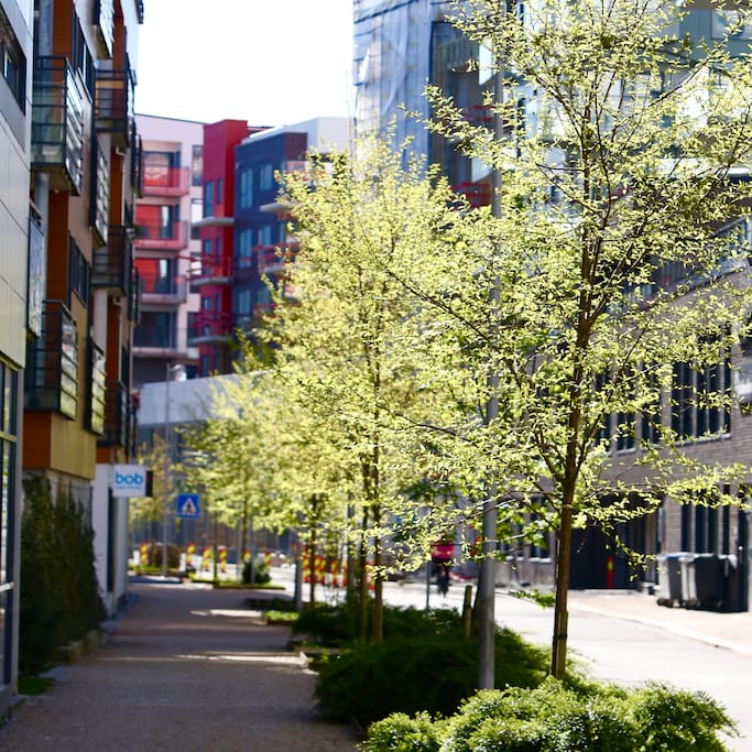 The building lies on a nice calm street within the area for the bike race.