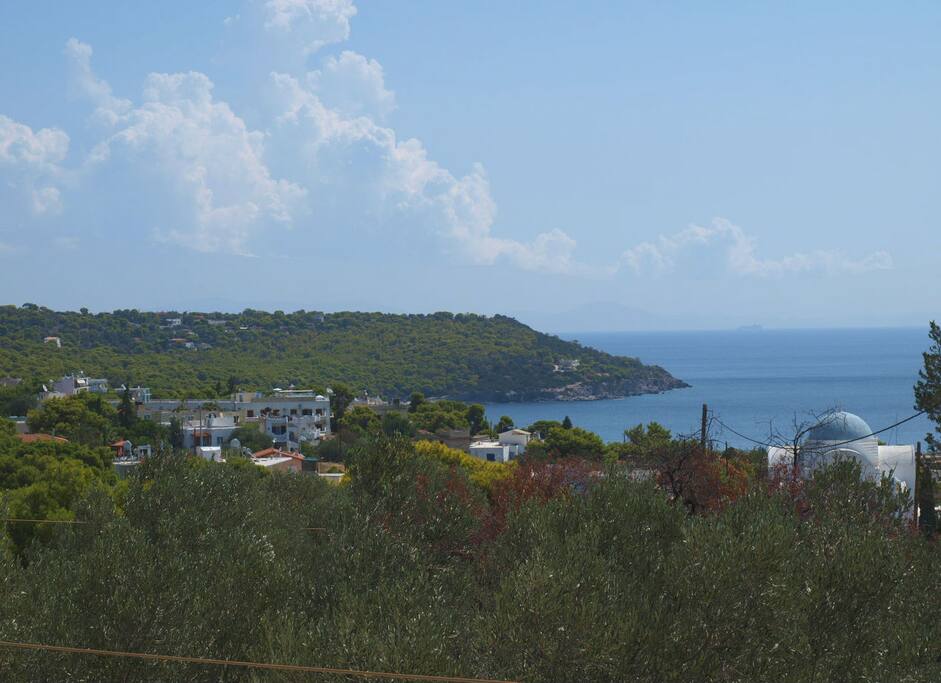 view from the garden