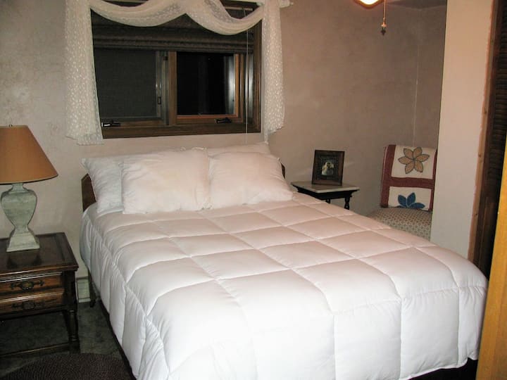 Downstairs lower level bedroom with full sized bed