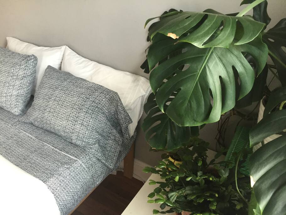 Front Bedroom (you will be in either the Front or Rear bedroom depending on availability)