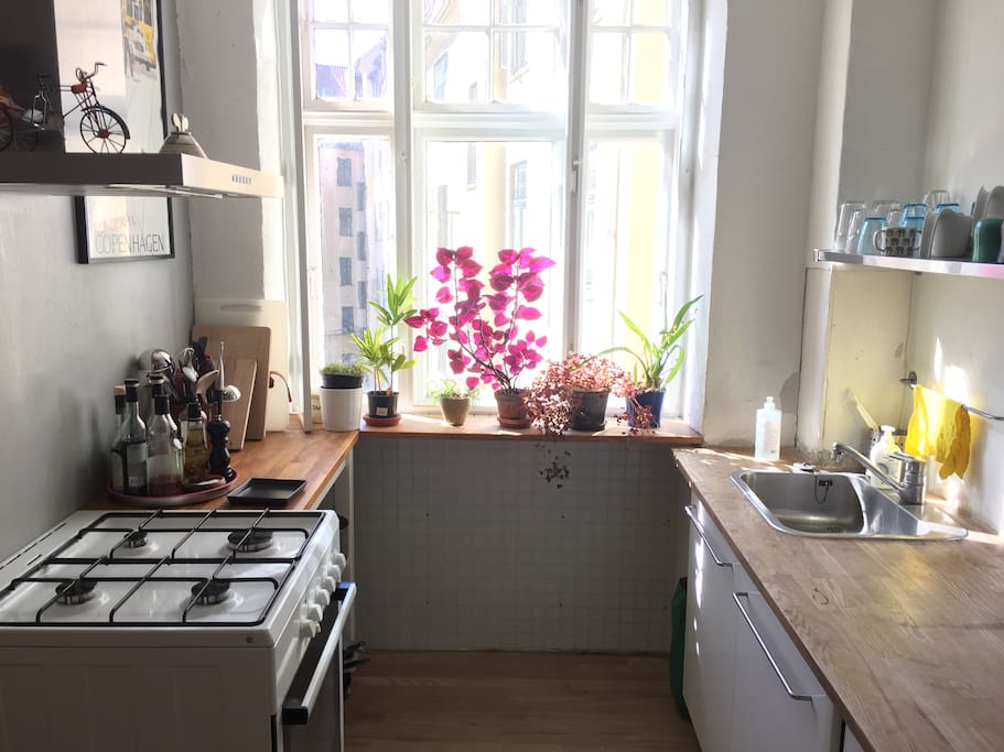 Light and spacious kitchen