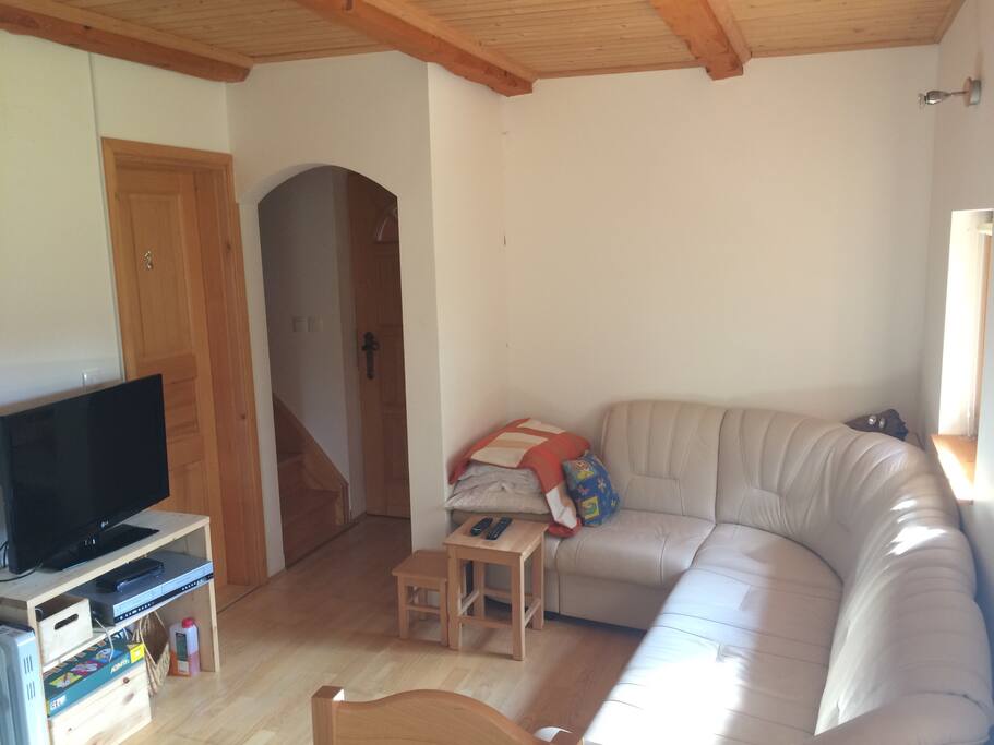 living room with sofa bed