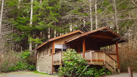 Rainforest Retreat- Bracken Cabin