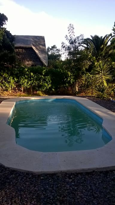 Piscina exterior, con dimensiones de 3x6x1,4 metros, cuenta con vereda exterior y confortable hamaca
