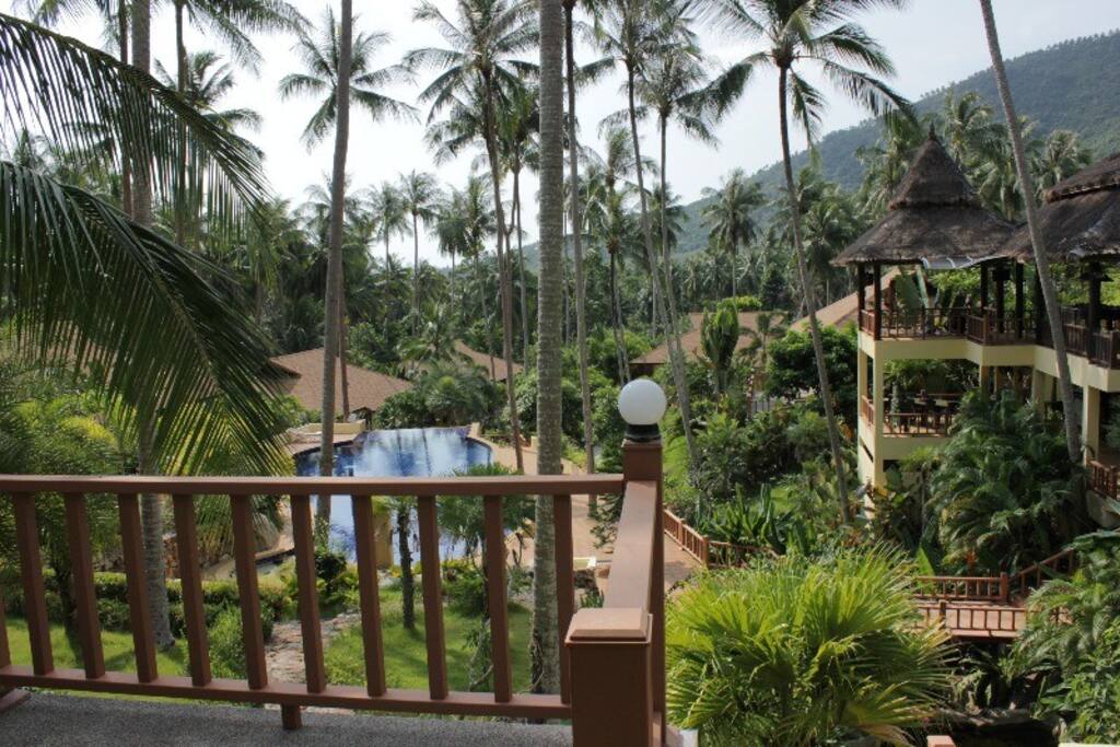 view from Villa 1