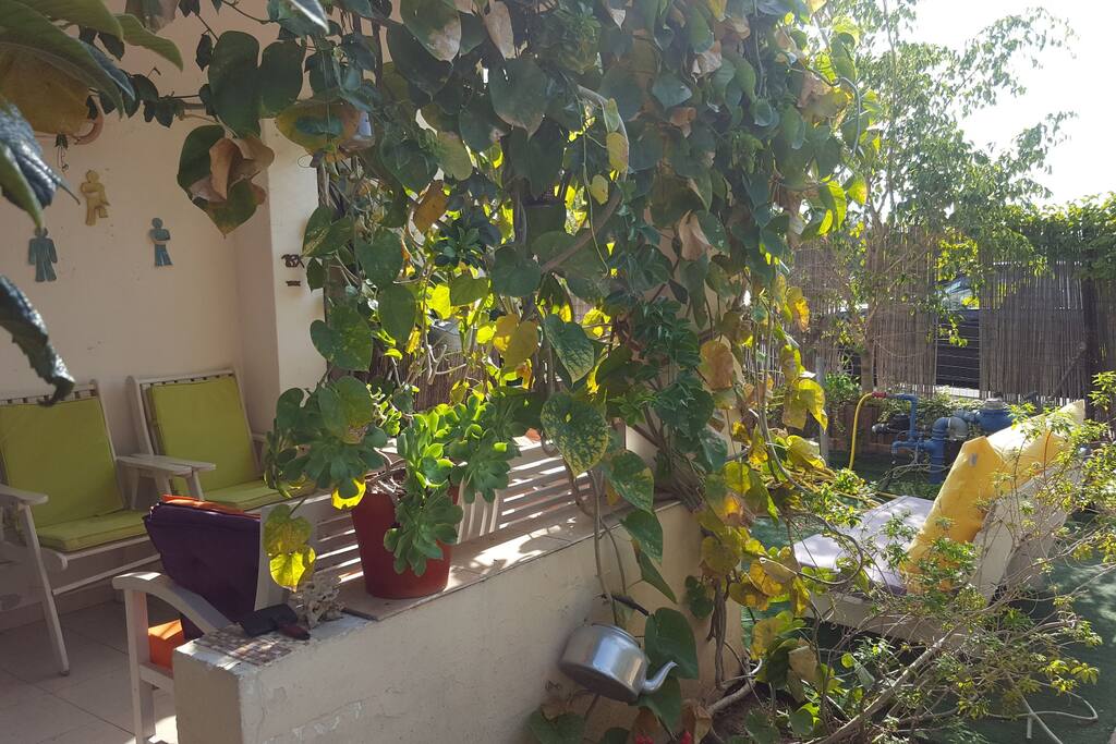 A view of sharing place #1 amd #2