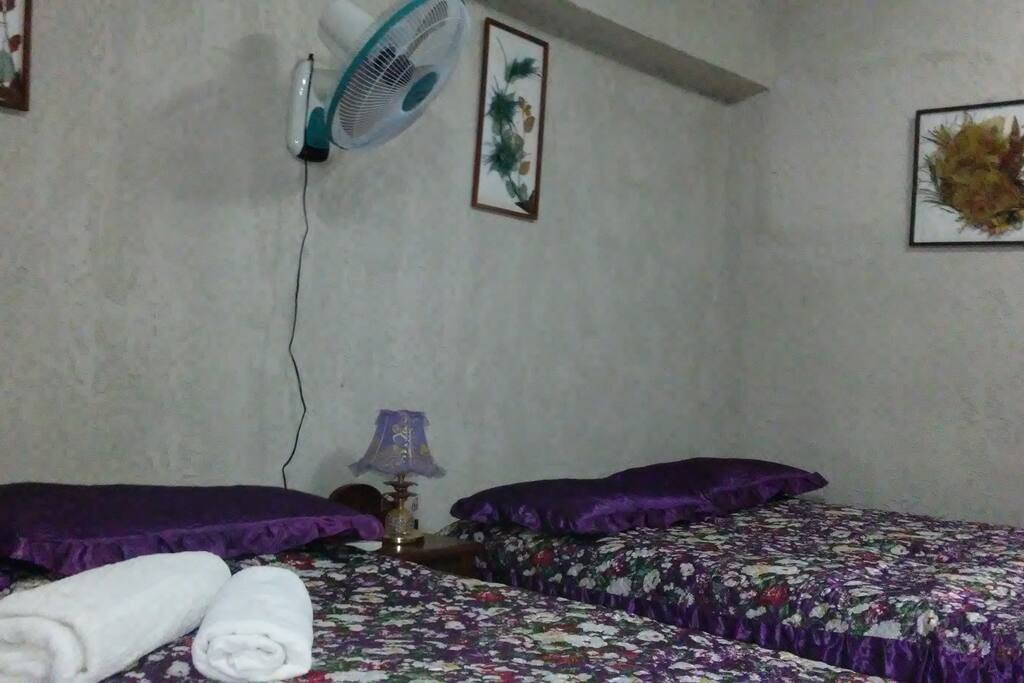 Habitación 1
