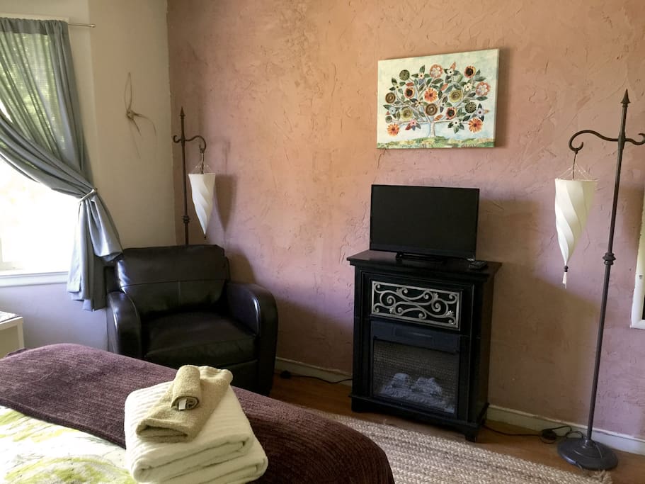 Comfy reading chair, tv with NetFlix only and a small fireplace.