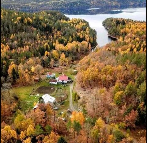 Successful Airbnb property: Skare farm/ Telemark in Bamble