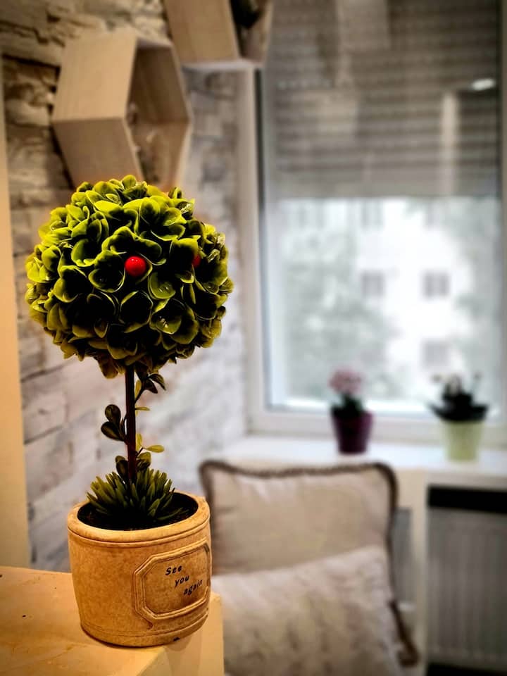 Studio Constanta City Park Mall Apartments for Rent in Constanța