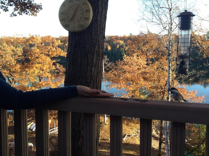 Devil Lake Vacation Rentals & Homes South Frontenac, Canada Airbnb