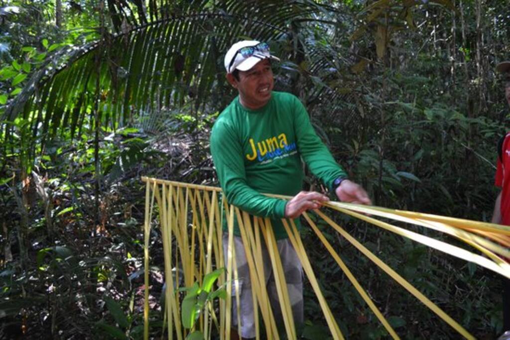 CAMINHADA NA SELVA