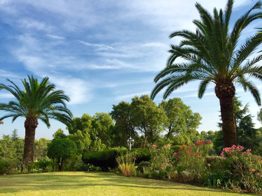 Jardin
